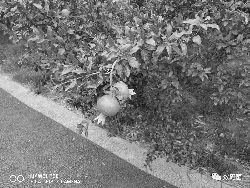 开启透视模式和平精英_game和平精英透视_和平精英怎么开人物透视